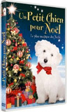 Un petit chien pour Noël